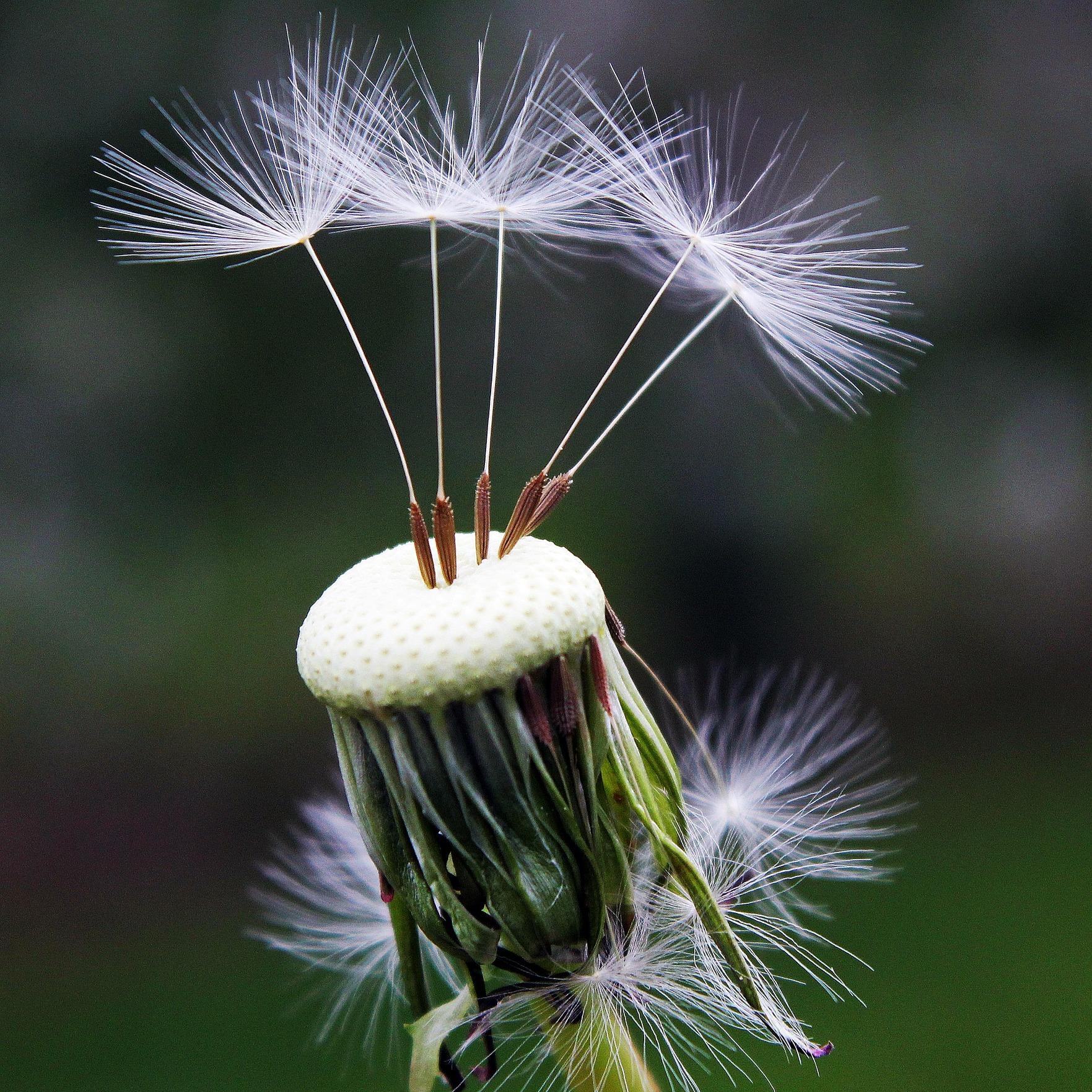 Hochsensible-Kinder-online