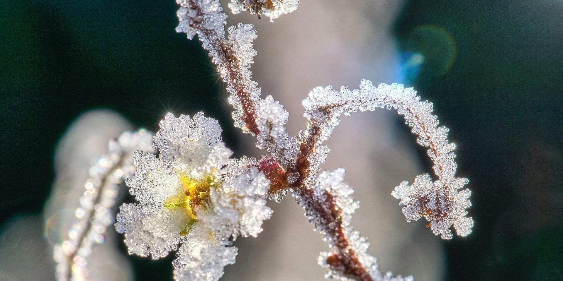 Winterzauber - Geschichten für die Kleinsten